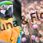 5-fauna-flora